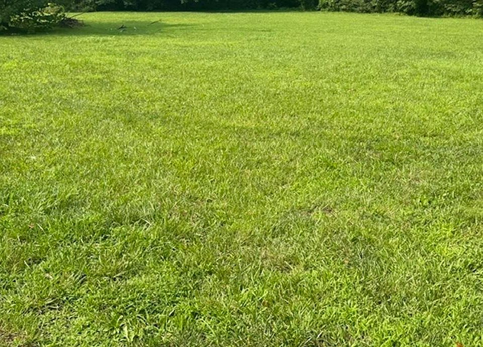 1st image of 611 Oaklawn Way