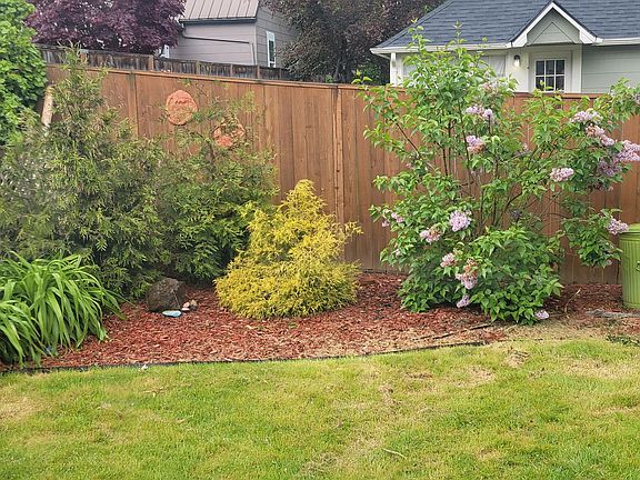 Backyard.