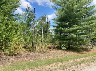 6773 Lahti Ln, Pellston, MI 49769