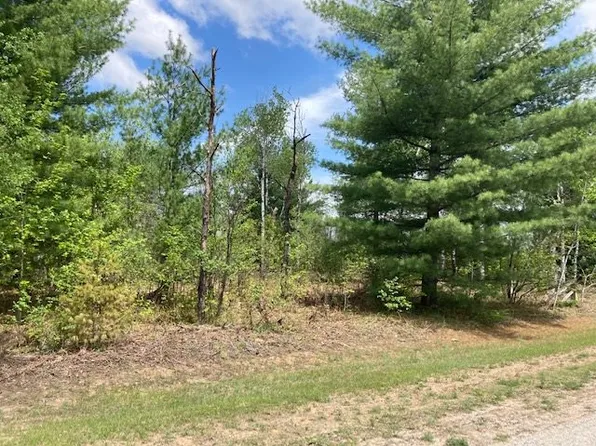 6773 Lahti Ln, Pellston, MI 49769