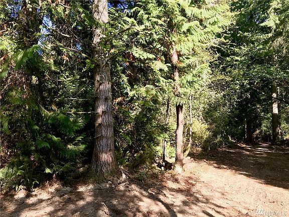 4th image of 3111 38th Ave NW