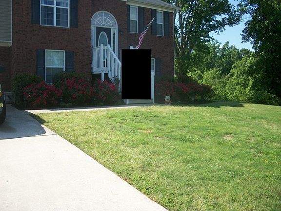 Beautiful Rose Bushes