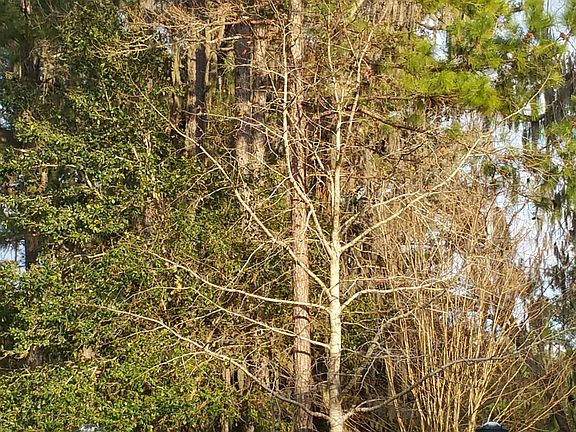 3rd image of 10 SE 43rd Ave