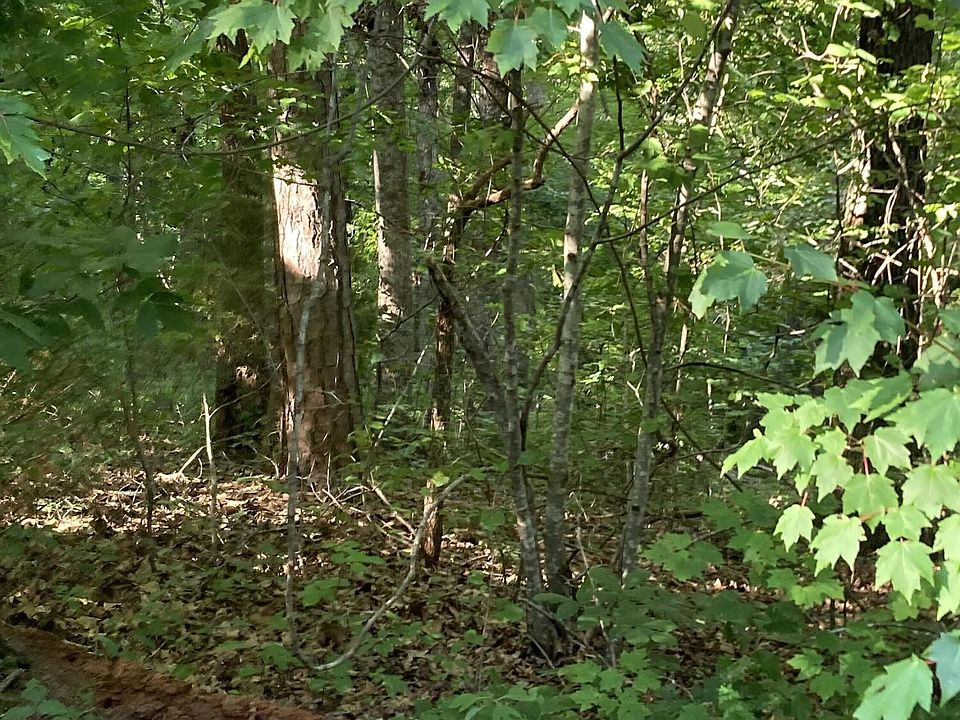 2nd image of 0 Deer Ridge Estates Rd #10