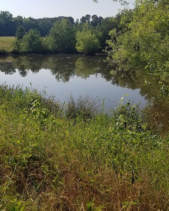 0 Guthrie Rd, Paris, TN 38242 Zillow