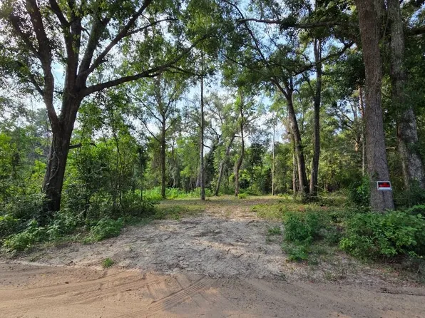 Brantley Rd, O'Brien, FL 32071