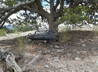 1868 Ute Trce, Hartsel, CO 80449