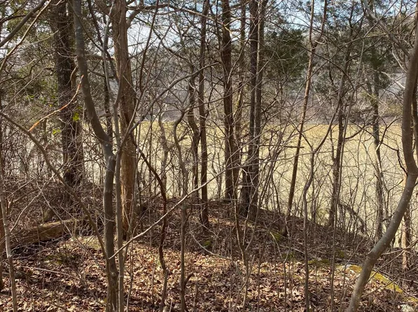 LOT 1 N Fork Dr, Burnside, KY 42519
