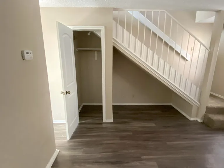 Winter closet living room