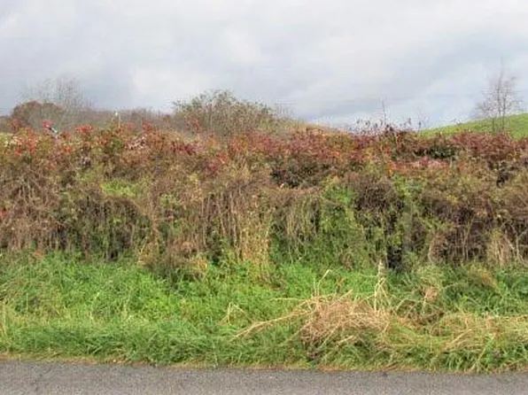 47AC Rural Retreat Lake Rd, Rural Retreat, VA 24368