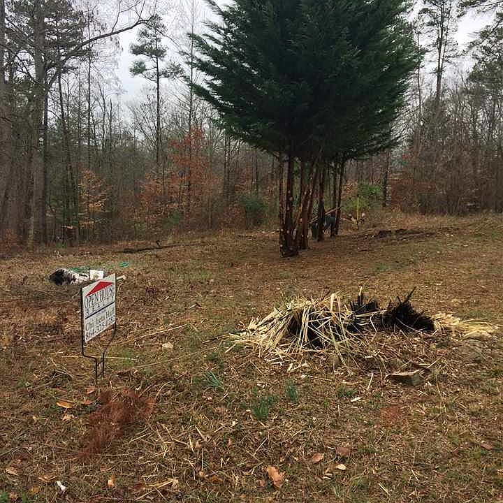 2nd image of 302 Shannandoah Dr