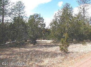 2876 Lazy Bear Trl, Overgaard, AZ 85933