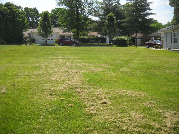 5th image of White Oak Cir