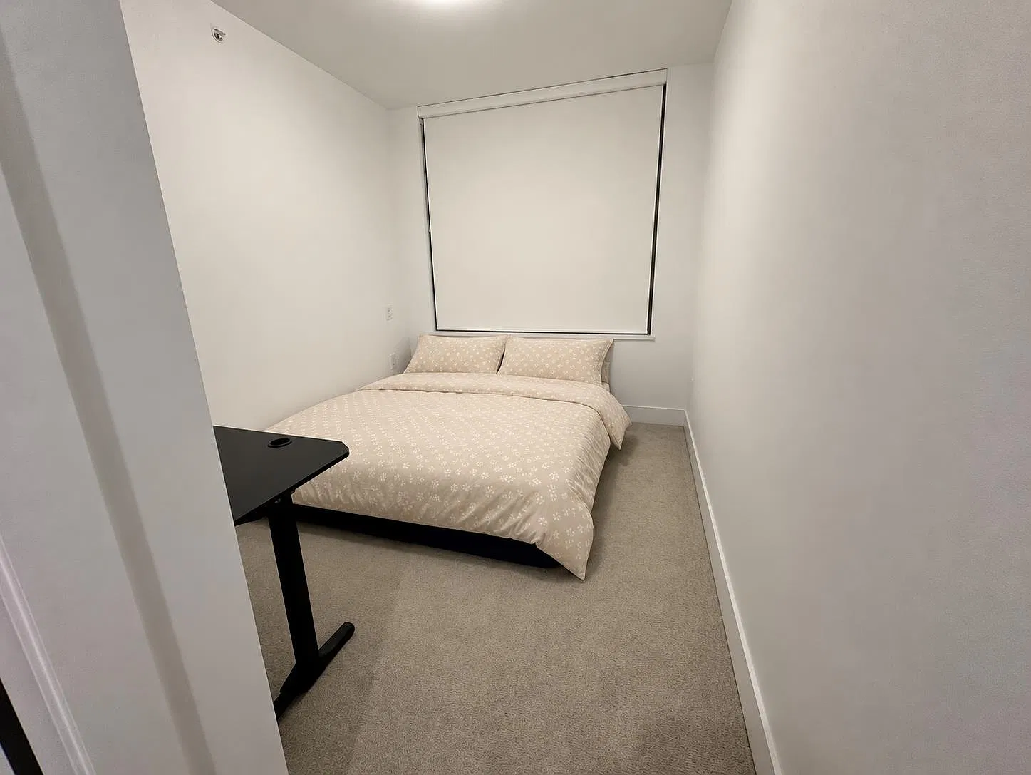 2 bed, 809 sqft, $2,600 — Photo 3