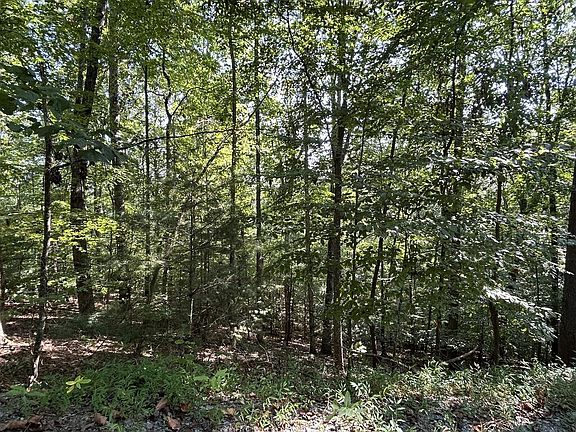 4th image of 341 Catawba Cir