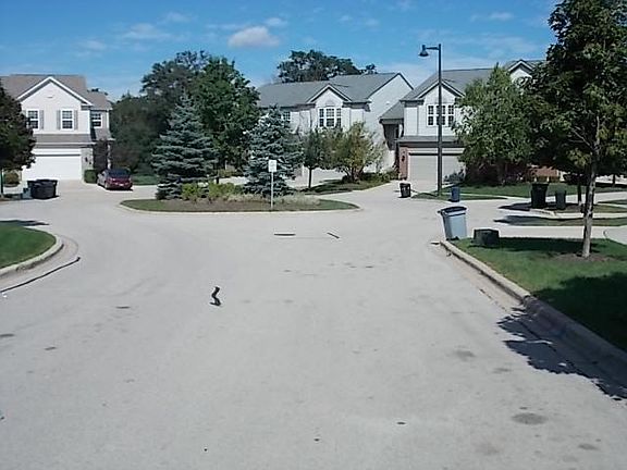 3rd image of 1556 Yellowstone Dr