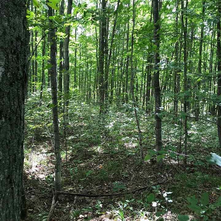 1st image of 2681 Whipporwill Ln NW