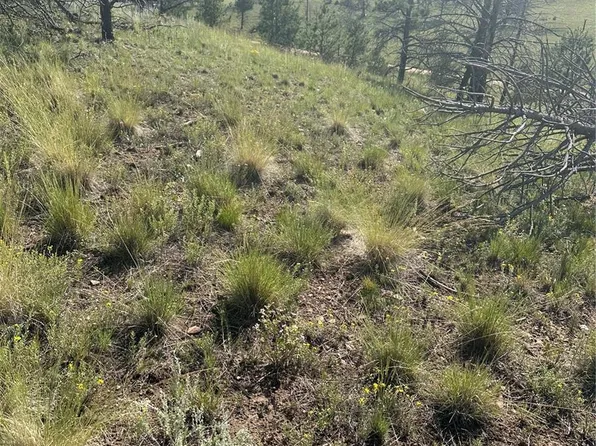53 Chateau West Circle, Florissant, CO 80816