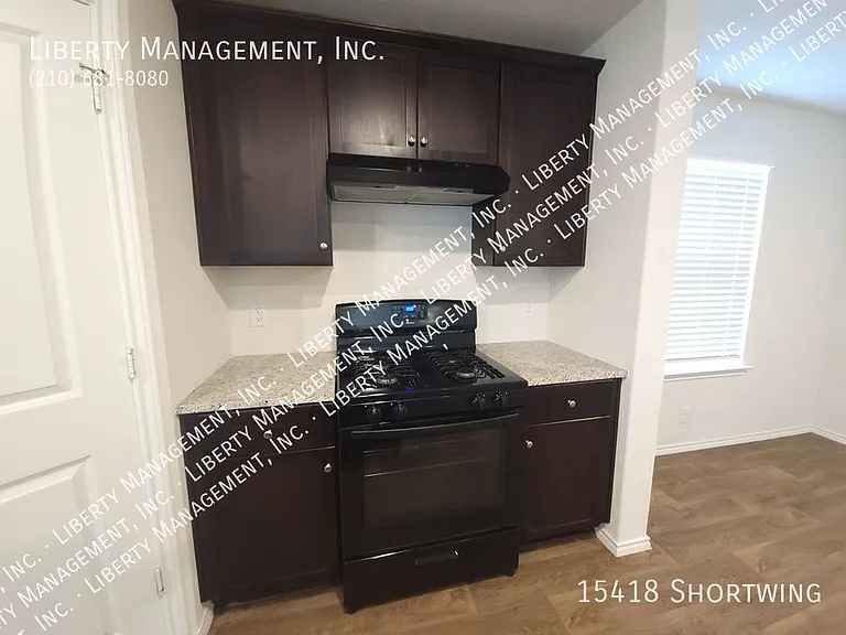 15418 Shortwing — Photo 8