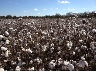 1699 Clower Rd, Morven, GA 31638