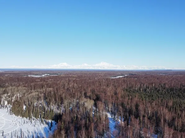 48678 S Parks Hwy, Talkeetna, AK 99676