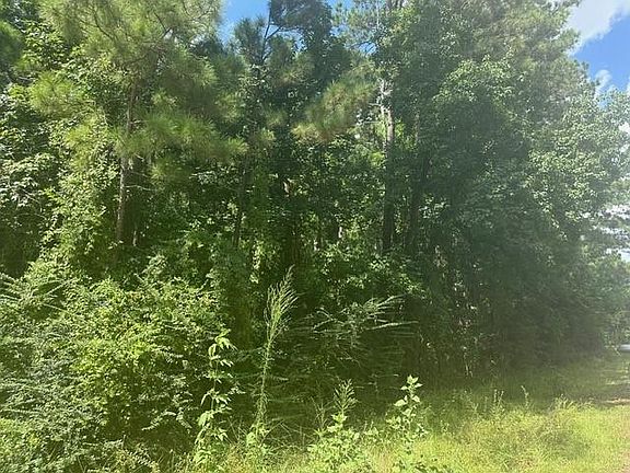 3rd image of 0 Ramblewood Dr