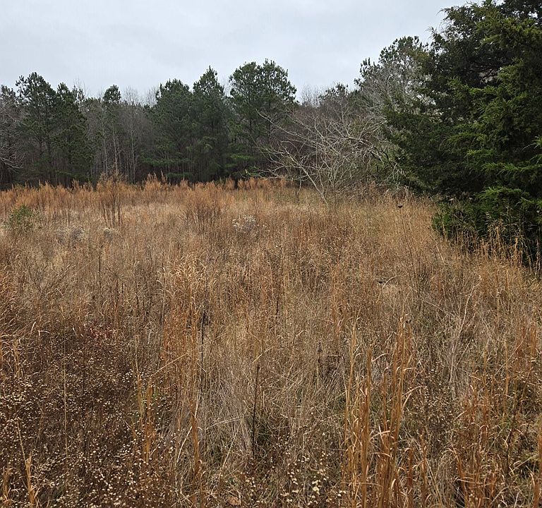 2nd image of 11353 Parallel Rd