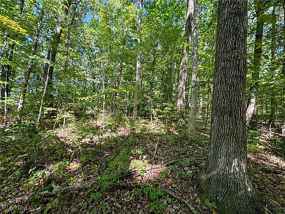 4th image of Township Road 162