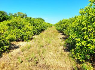 0 Wallace Rd, Bartow, FL 33830