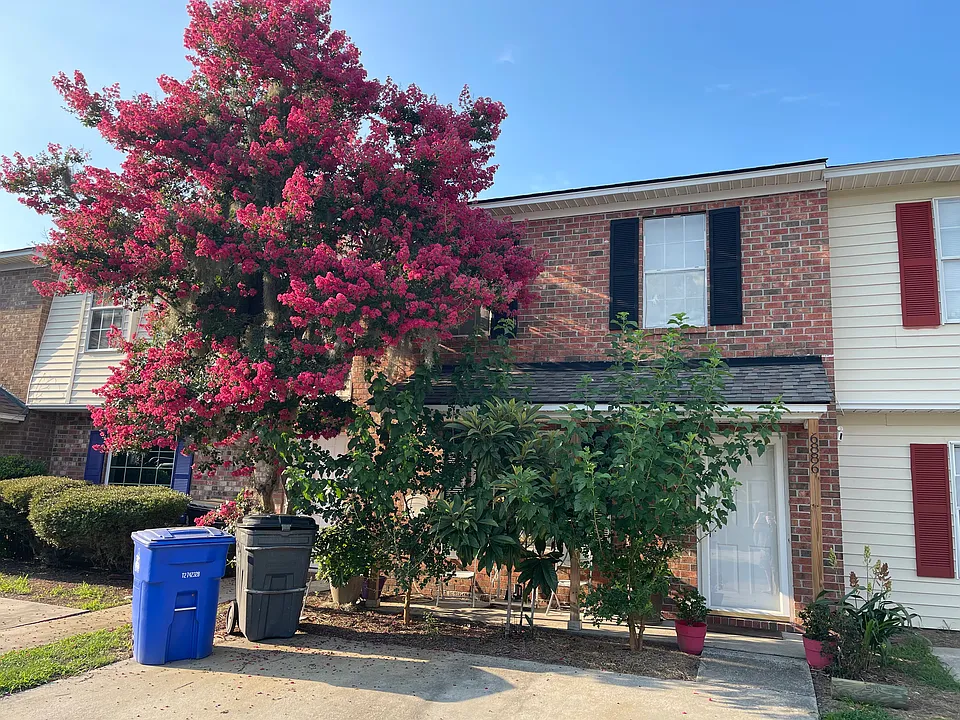 6886 Shahid Row