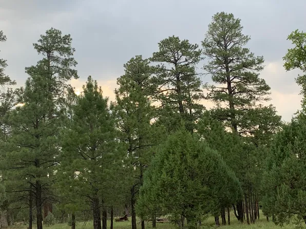 4944 Juniper Dr, Happy Jack, AZ 86024