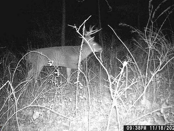 4th image of 500 Gunner Rd