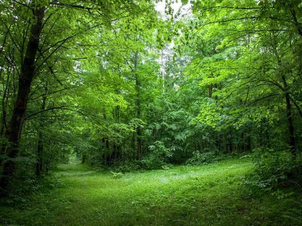 661 S Blue Bell Rd, Franklin Township, NJ 08322