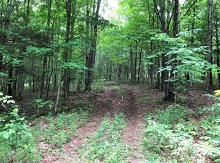 Scutt Mountain Rd, Bloomville, NY 13739