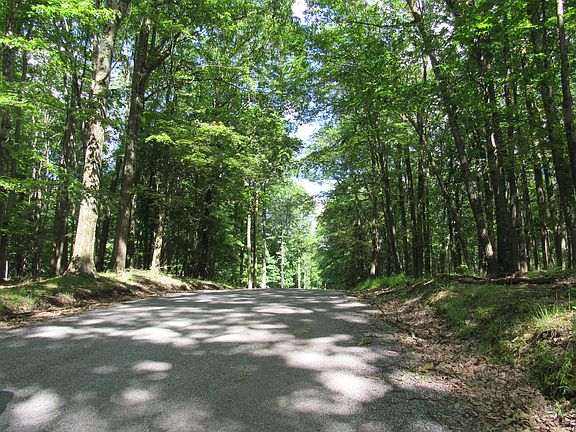 2nd image of San Andres Rd Lot 509