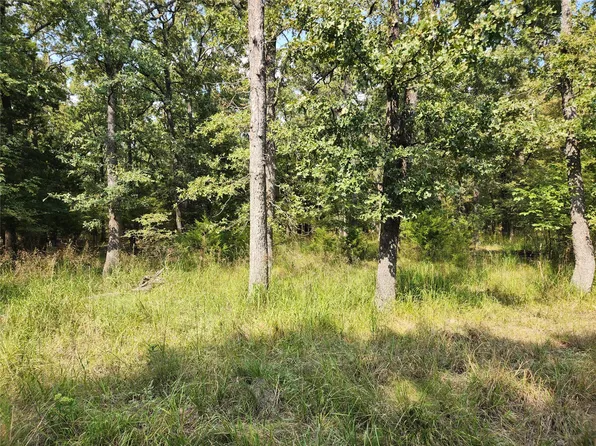 LOT 31 Fox Point Rd, Quinlan, TX 75474