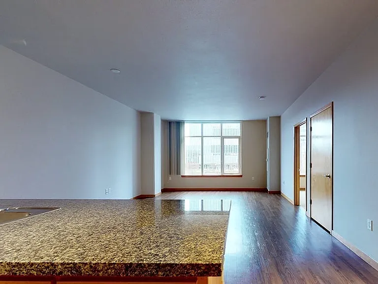 Apartment living room with wood-style flooring.