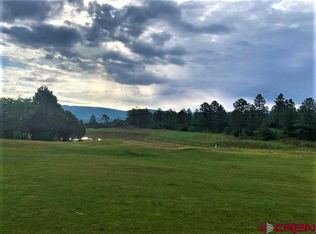 63 Marten Ct, Ridgway, CO 81432