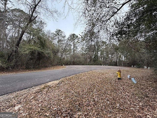 1st image of V/l 40 Satilla River Lndg