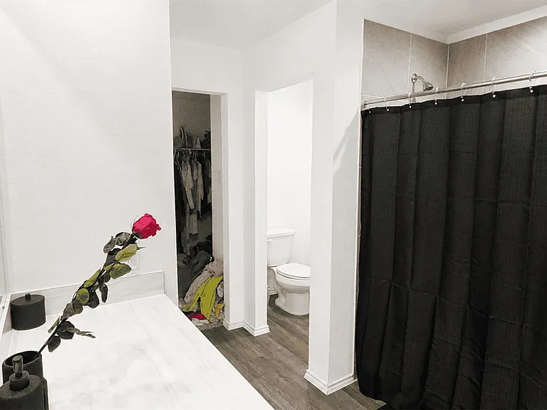 24836 Sugar Pine Cone St — Photo 11