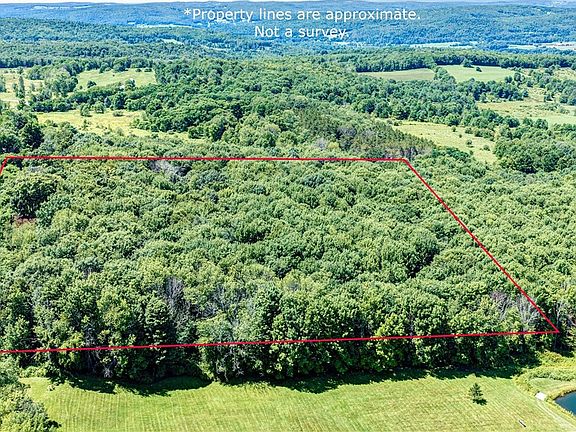 4th image of 1593 Butternut Rd