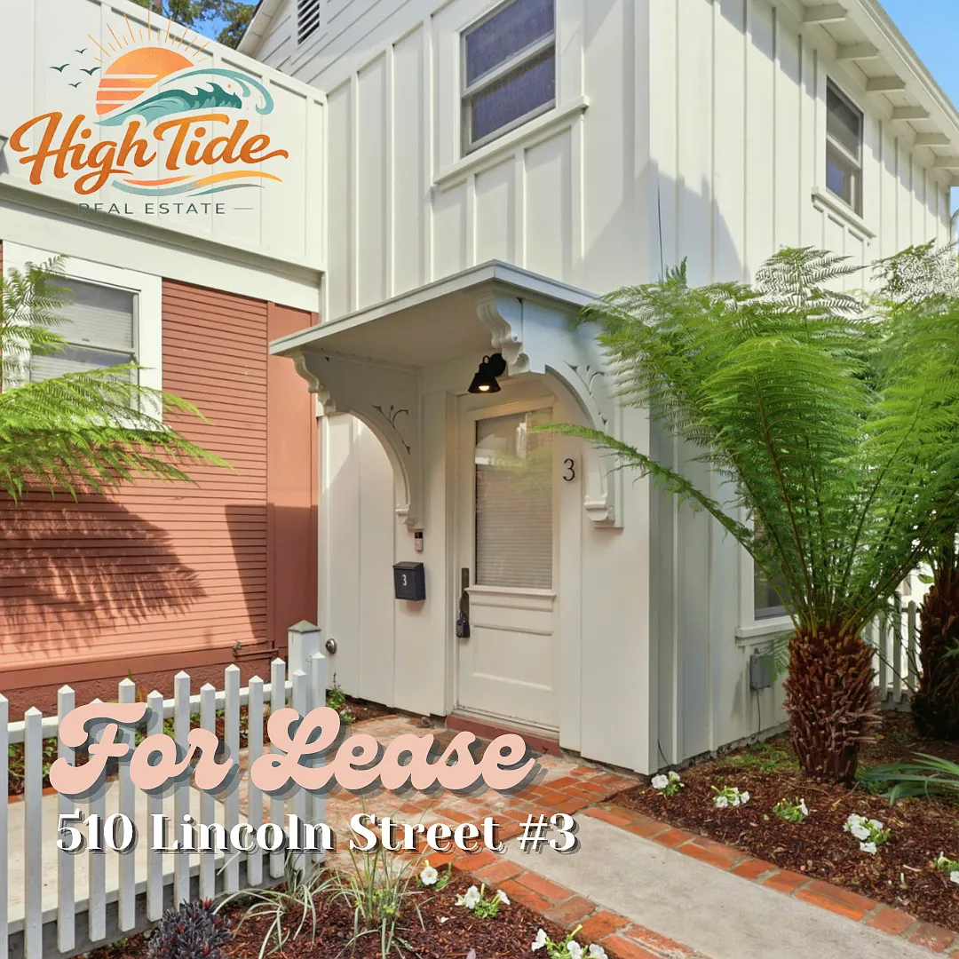 Bright & Private 1BR Oasis with Patio, Skylight & Designer Upgrades — Photo 1