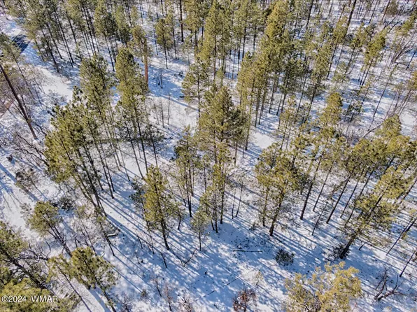 1650 Larson Rd, Lakeside, AZ 85929