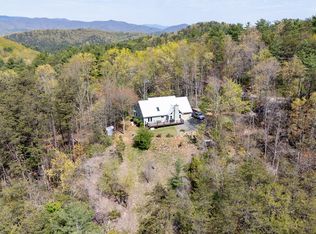 306 Pig Trl, Cherry Log, GA 30522