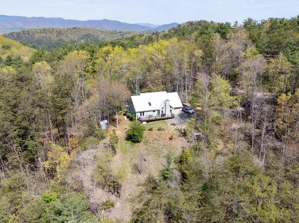 306 Pig Trl, Cherry Log, GA 30522