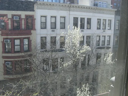 Rented by Pine Management, Inc. | media 16