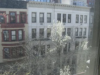 Rented by Pine Management, Inc.