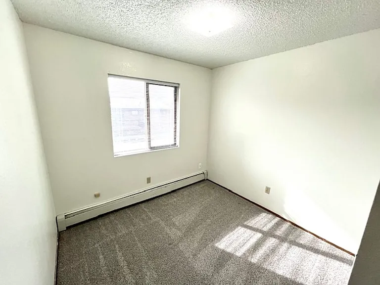 Freshly Renovated - Southside 3 Bedroom — Photo 32