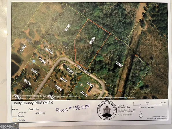 Smiley Loop Rd, Riceboro, GA 31323