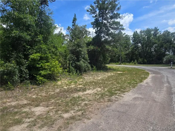 8365 N Ibsen Dr, Citrus Springs, FL 34433